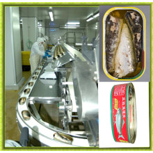 Full Automatic Stainless Steel Canned Tuna Machine